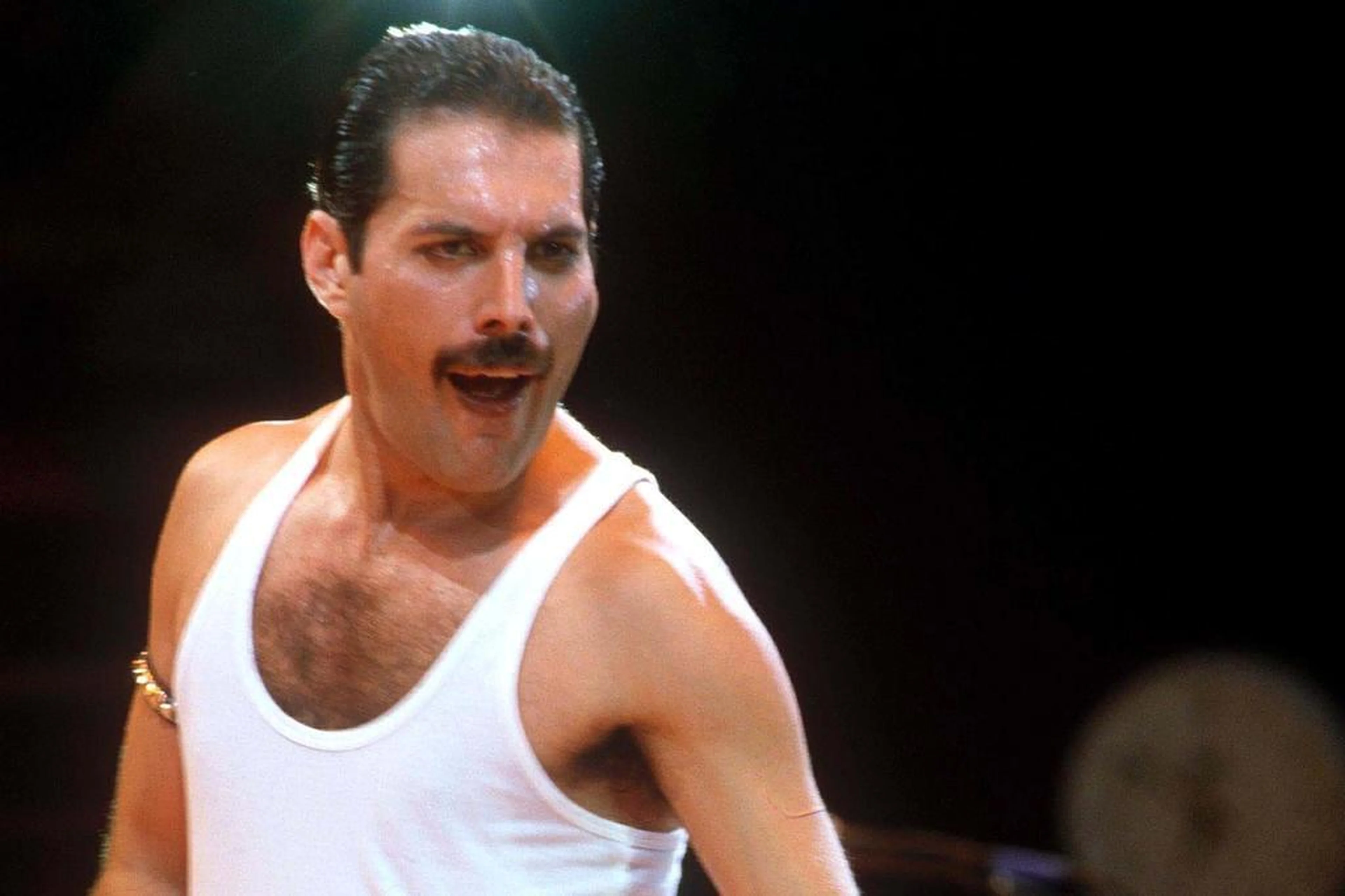 Ver Descrição/Ver Descrição