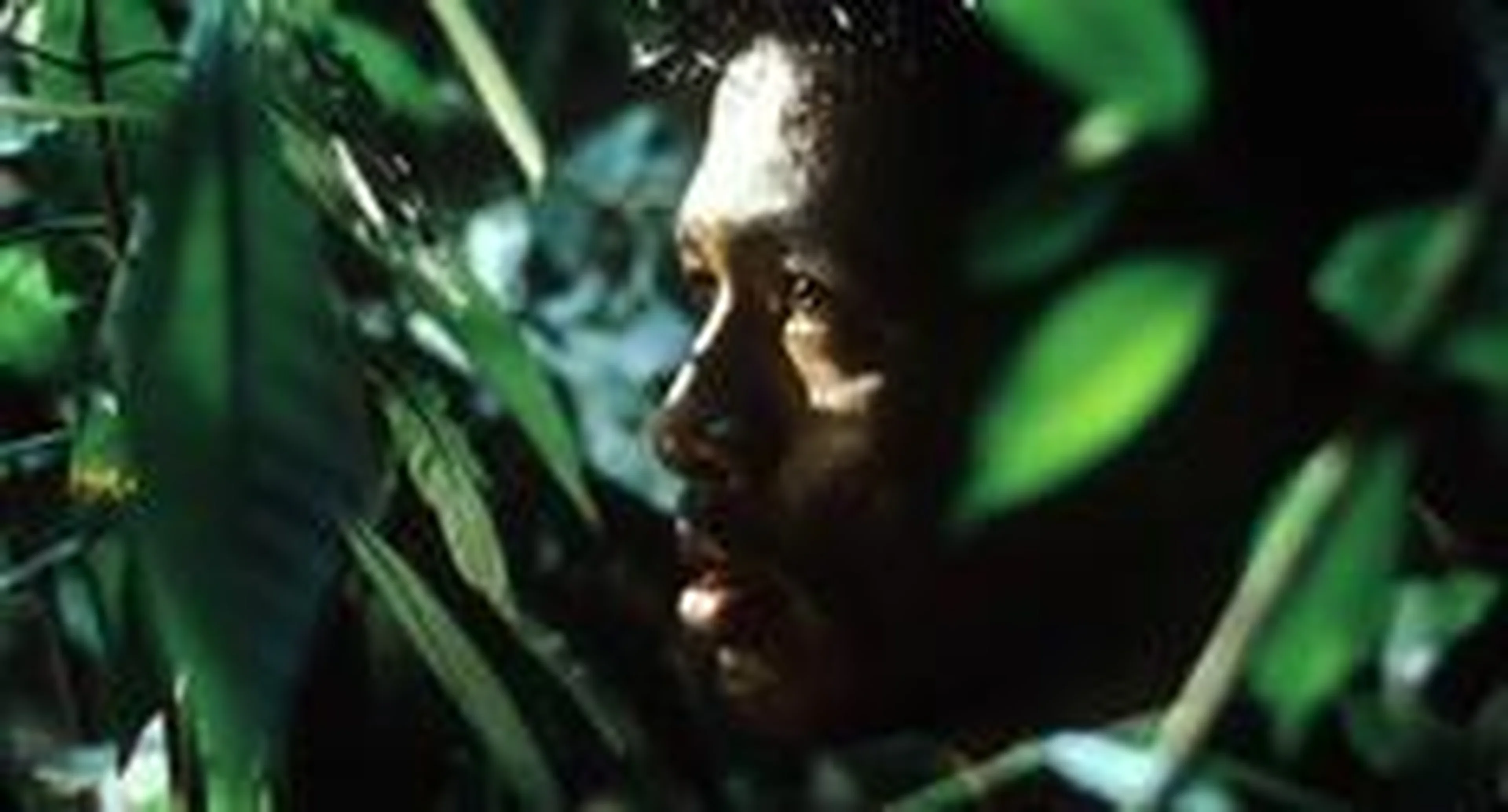 Filmes da Mostra/Divulgação