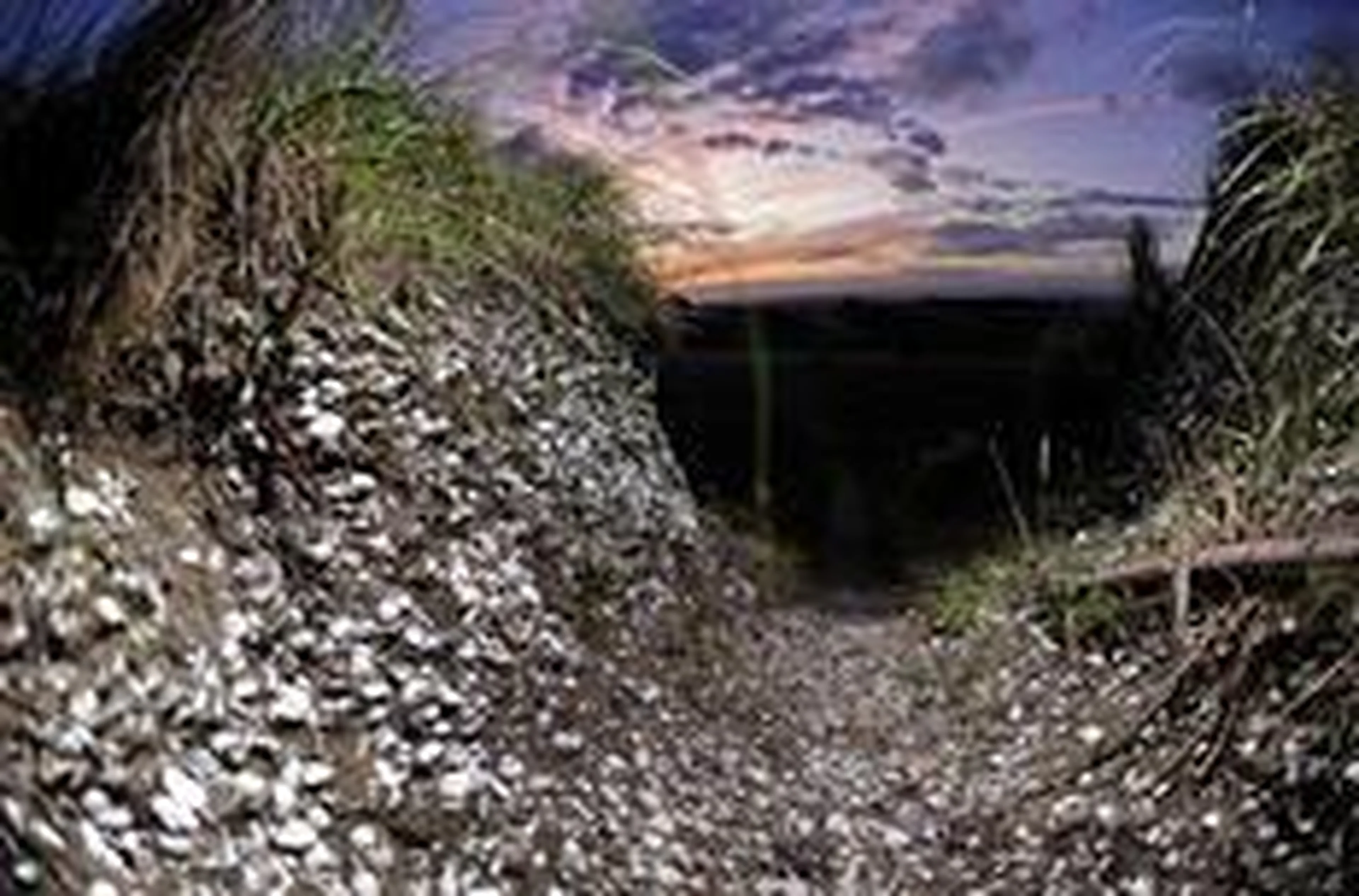 Bruno Alencastro/Agencia RBS