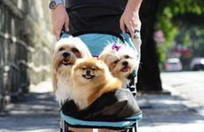 Mauro Vieira / Agencia RBS