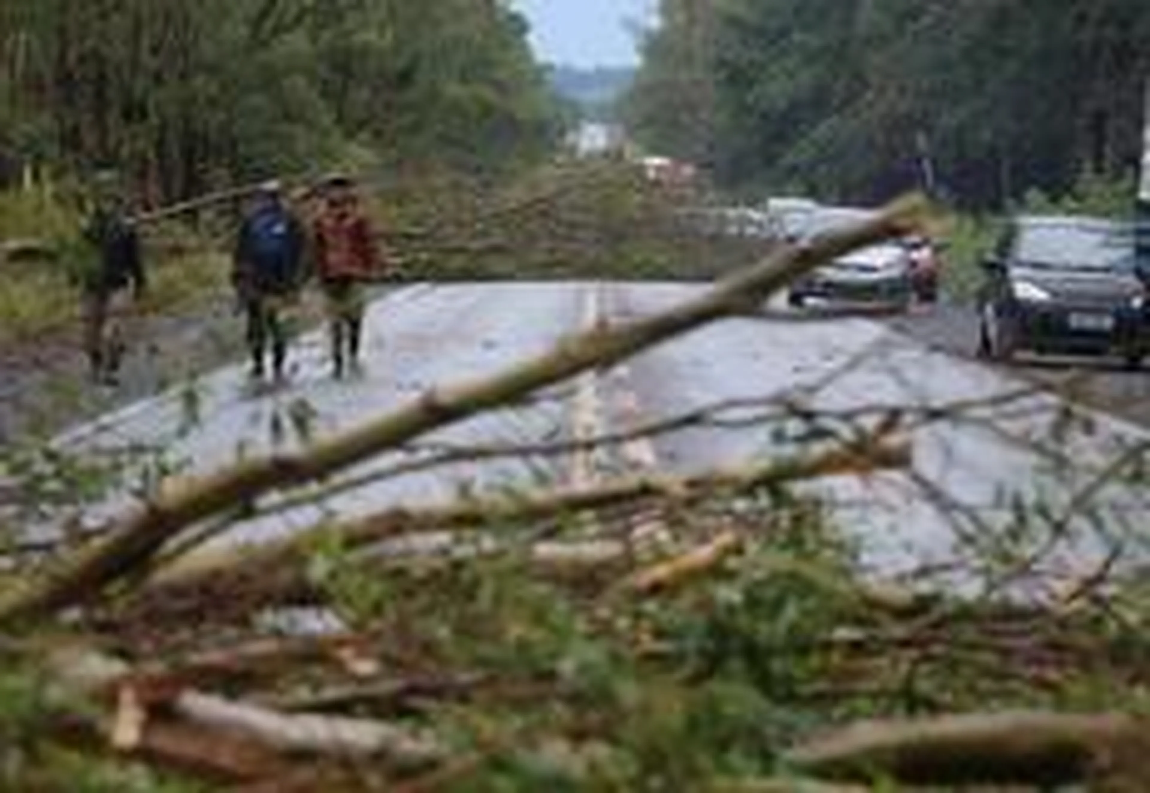 Emerson Souza/Agencia RBS