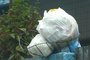 ITAJAI,SC,BRASIL,08/02/2013: Ana Francisca Demarchi, moradora do bairro Itaipava, zona rural, levou um susto com o aumento da tax de coleta de lixo.