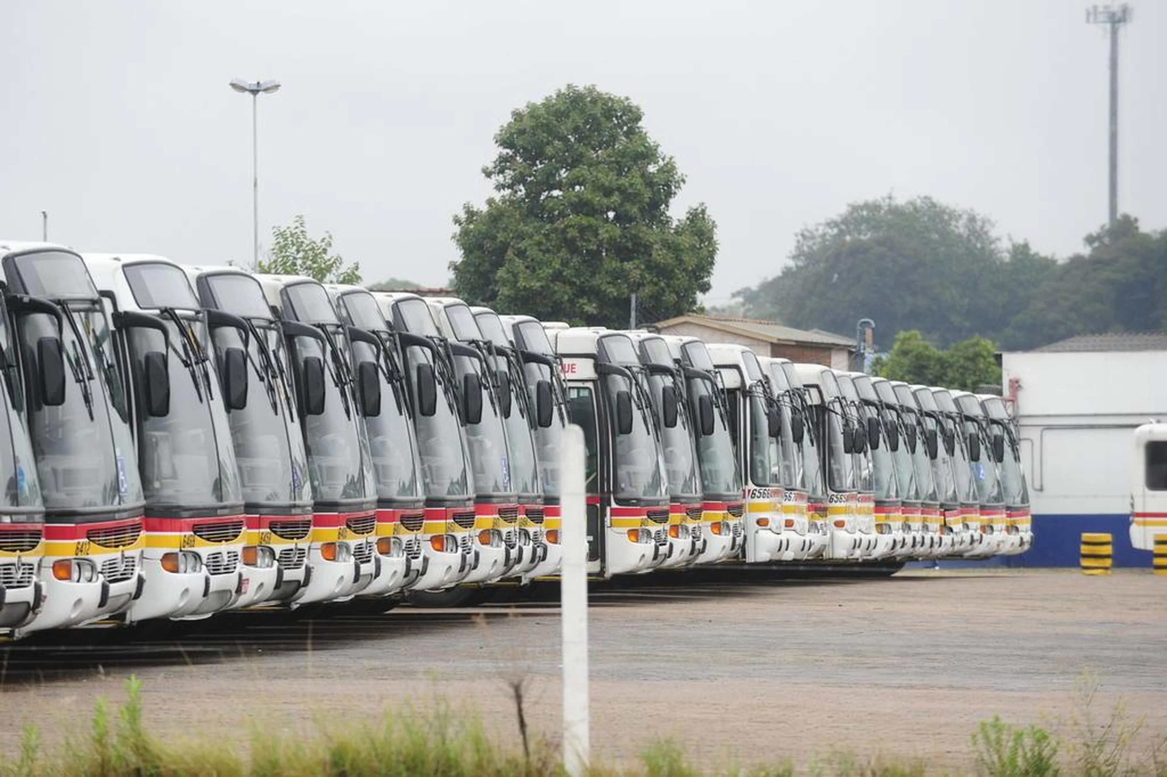 Ronaldo Bernardi/Agencia RBS