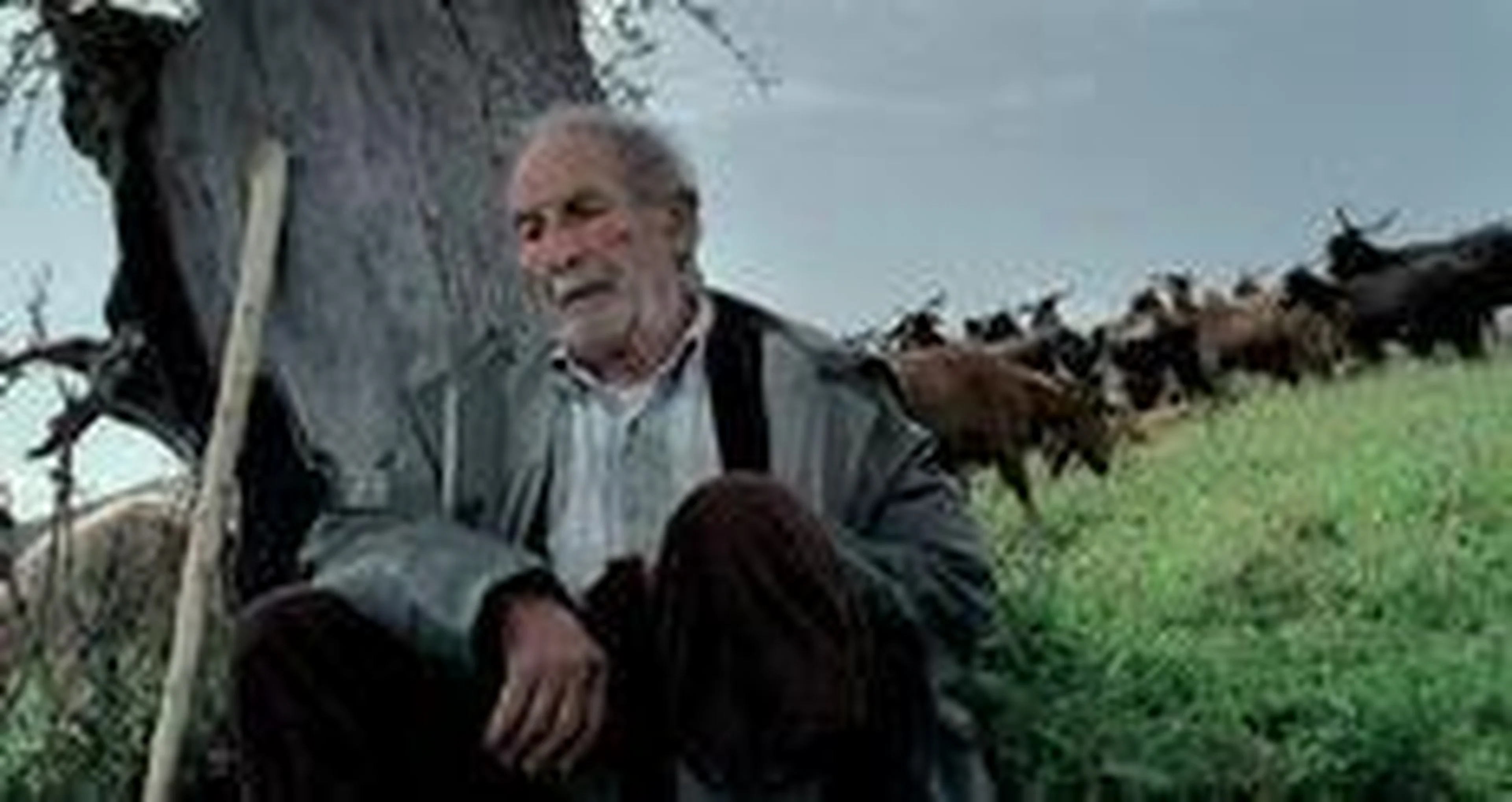 Filmes da Mostra/Divulgação