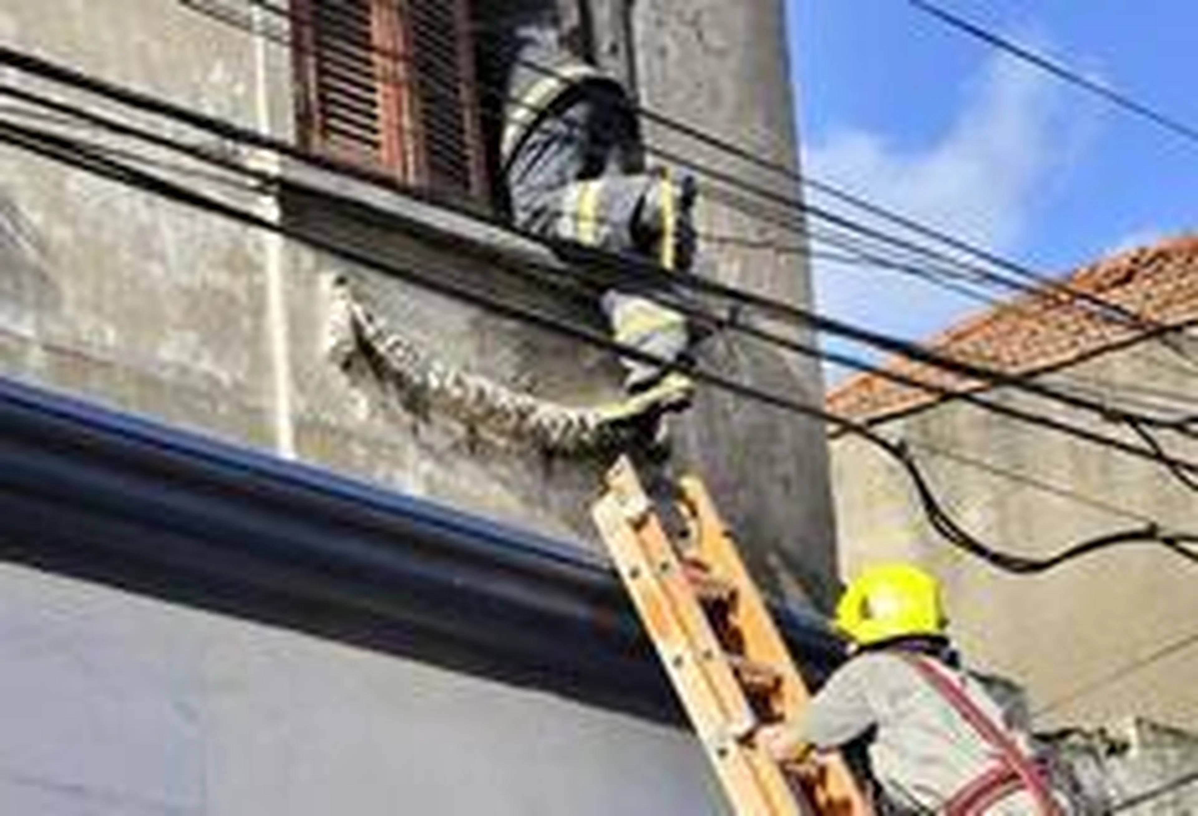 André Feltes/Agencia RBS