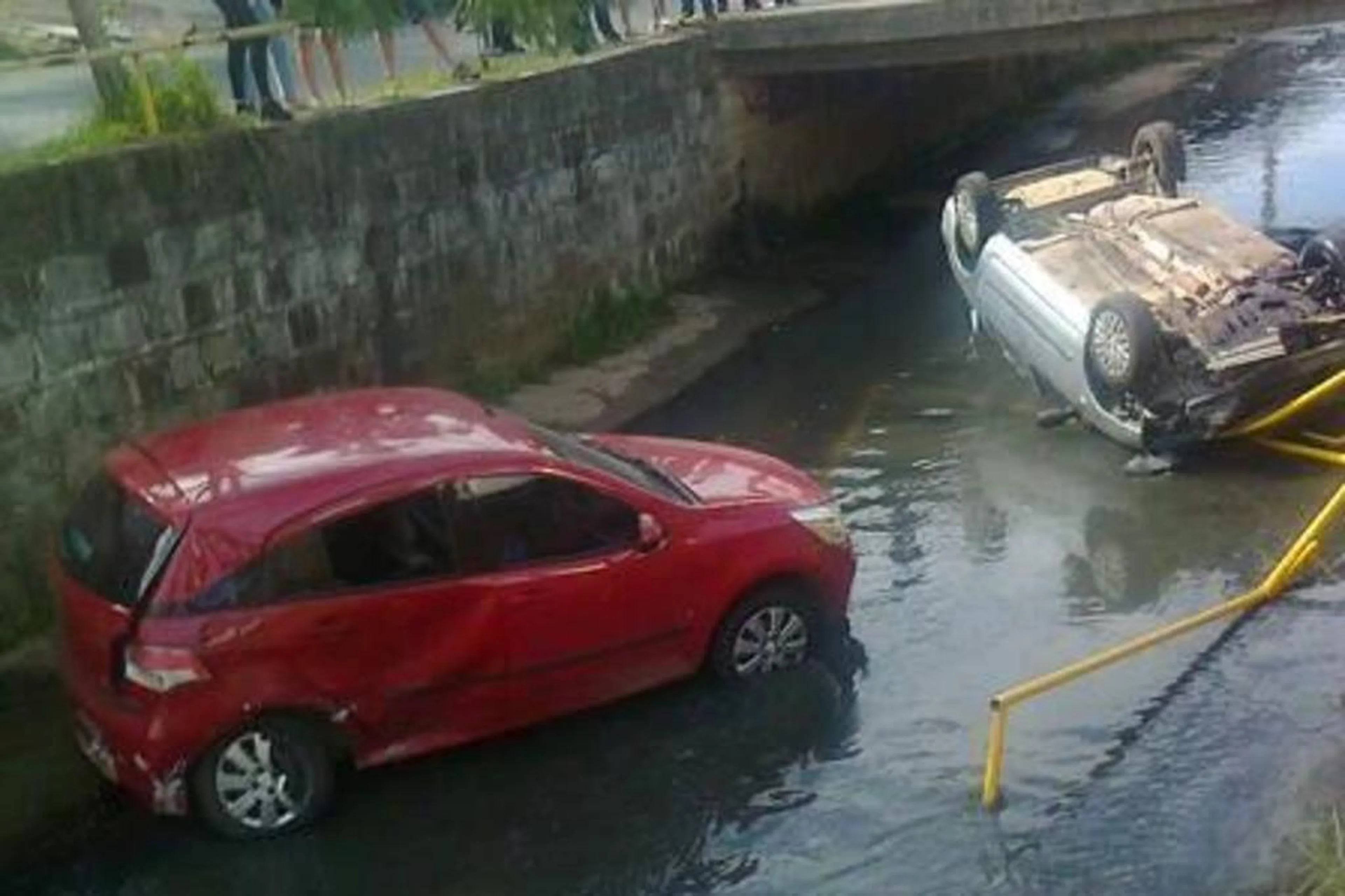 Mauro Saraiva Jr./Reprodução,Twitter