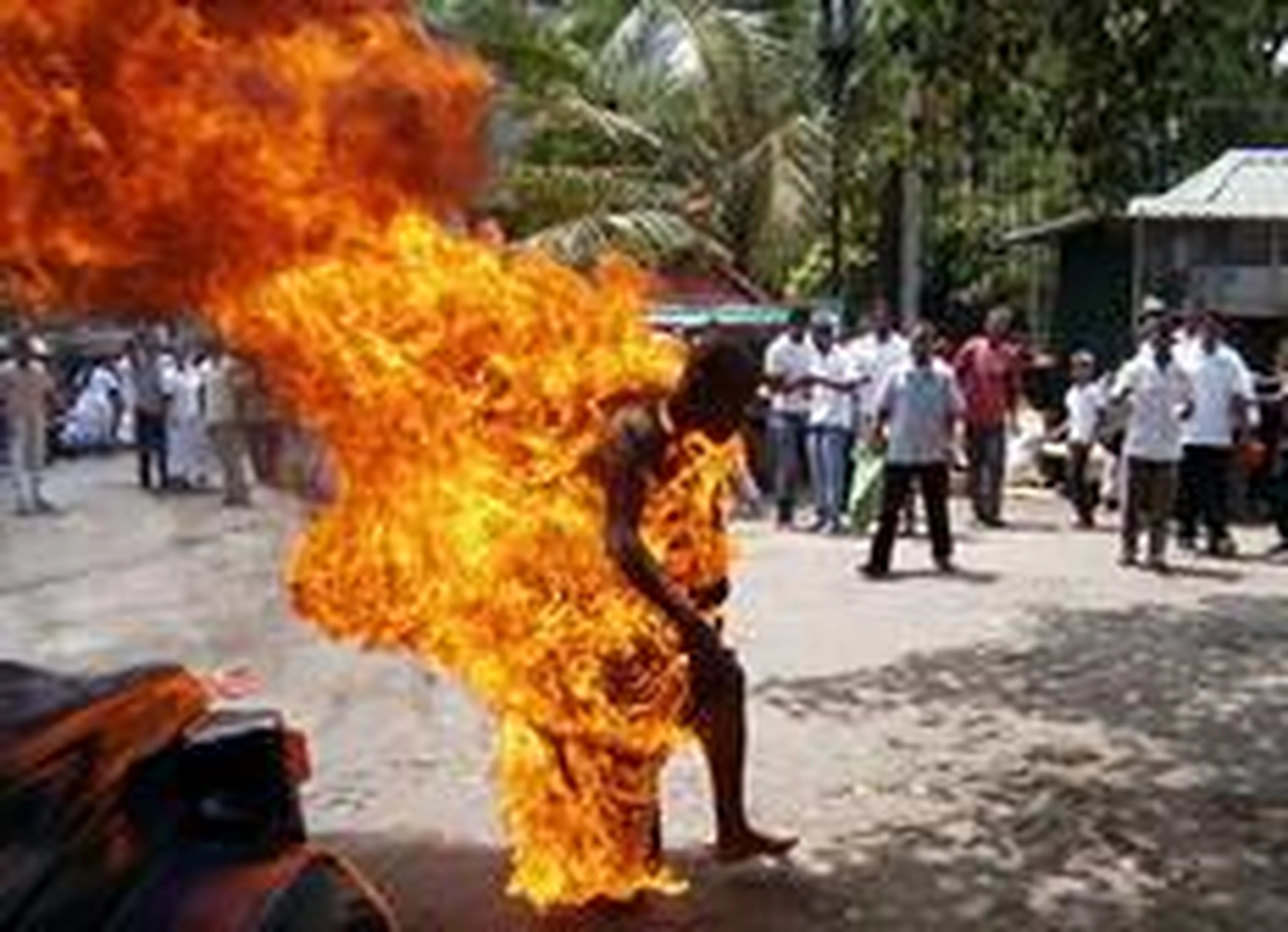 J.A.L JAYASINGHE/AFP