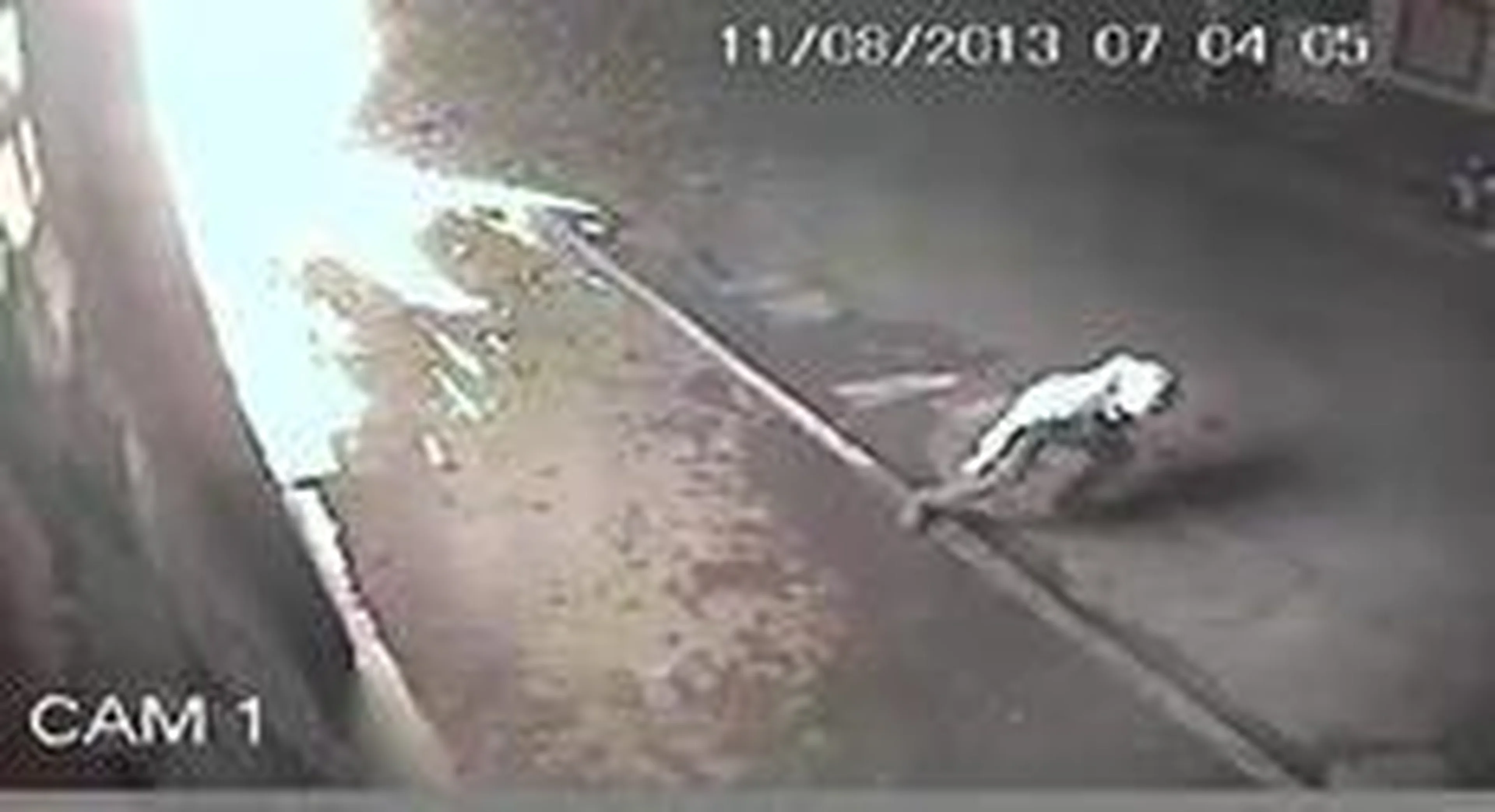 Reprodução/Reprodução