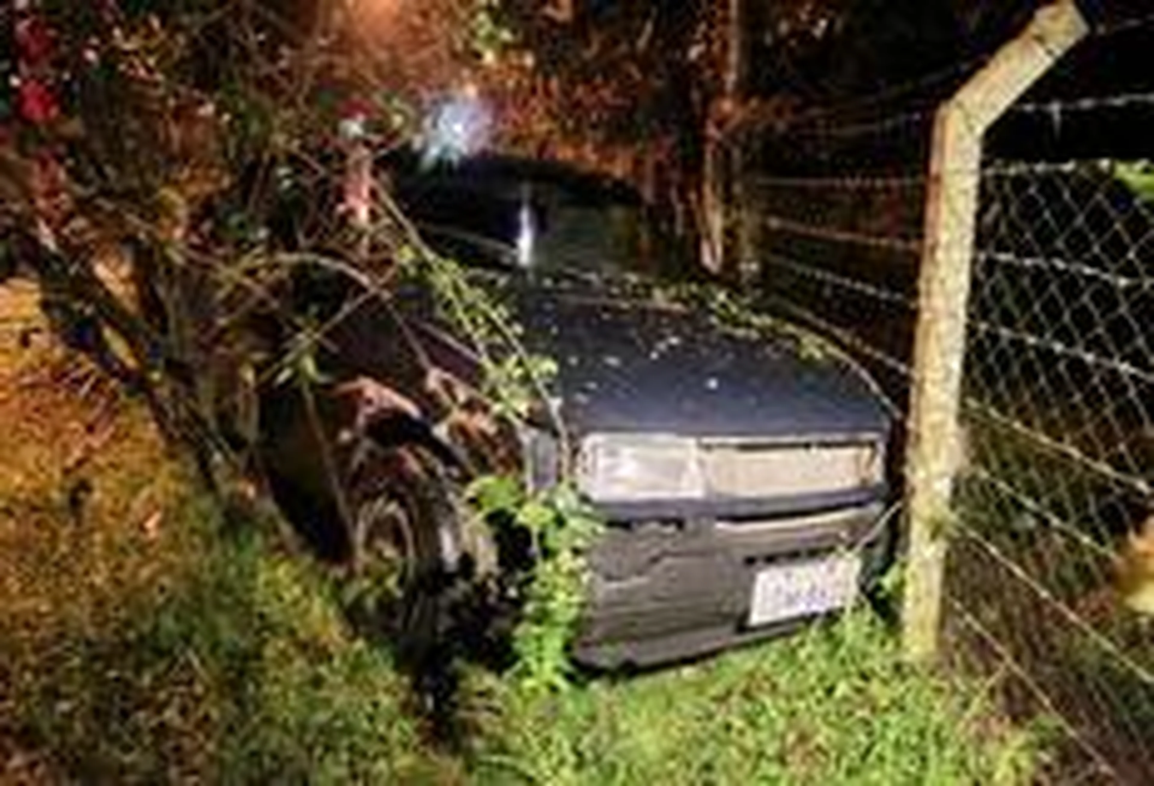 Dani Barcellos/Especial