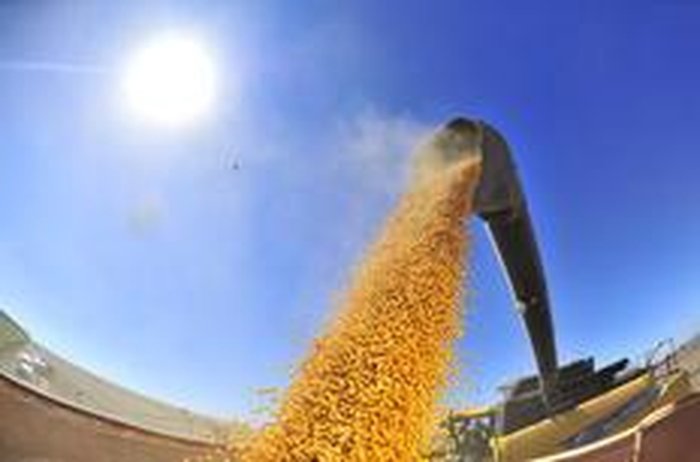 Tadeu Vilani / Agencia RBS