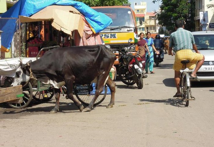 arquivo pessoal / Arquivo pessoal