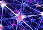 Cientistas afirmam ser possível reverter perda de memória com estimulo elétrico no cérebro