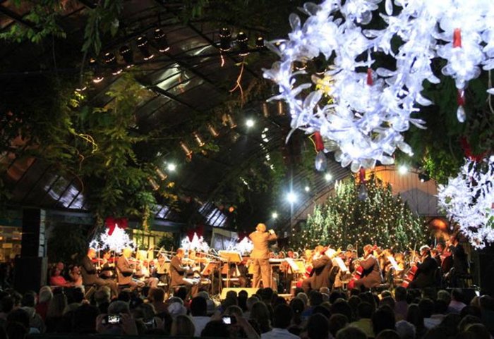 Cleiton Thiele / Divulgação