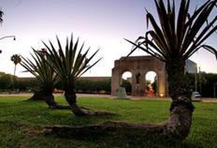 Dani Barcellos / Especial