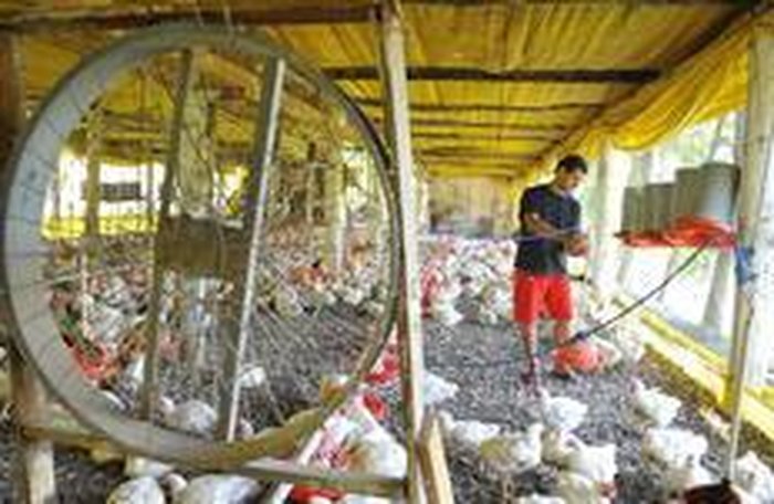 Lidiane Mallmann / Especial