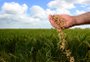Baixa do PIB gaúcho é puxada pela agropecuária no primeiro trimestre
