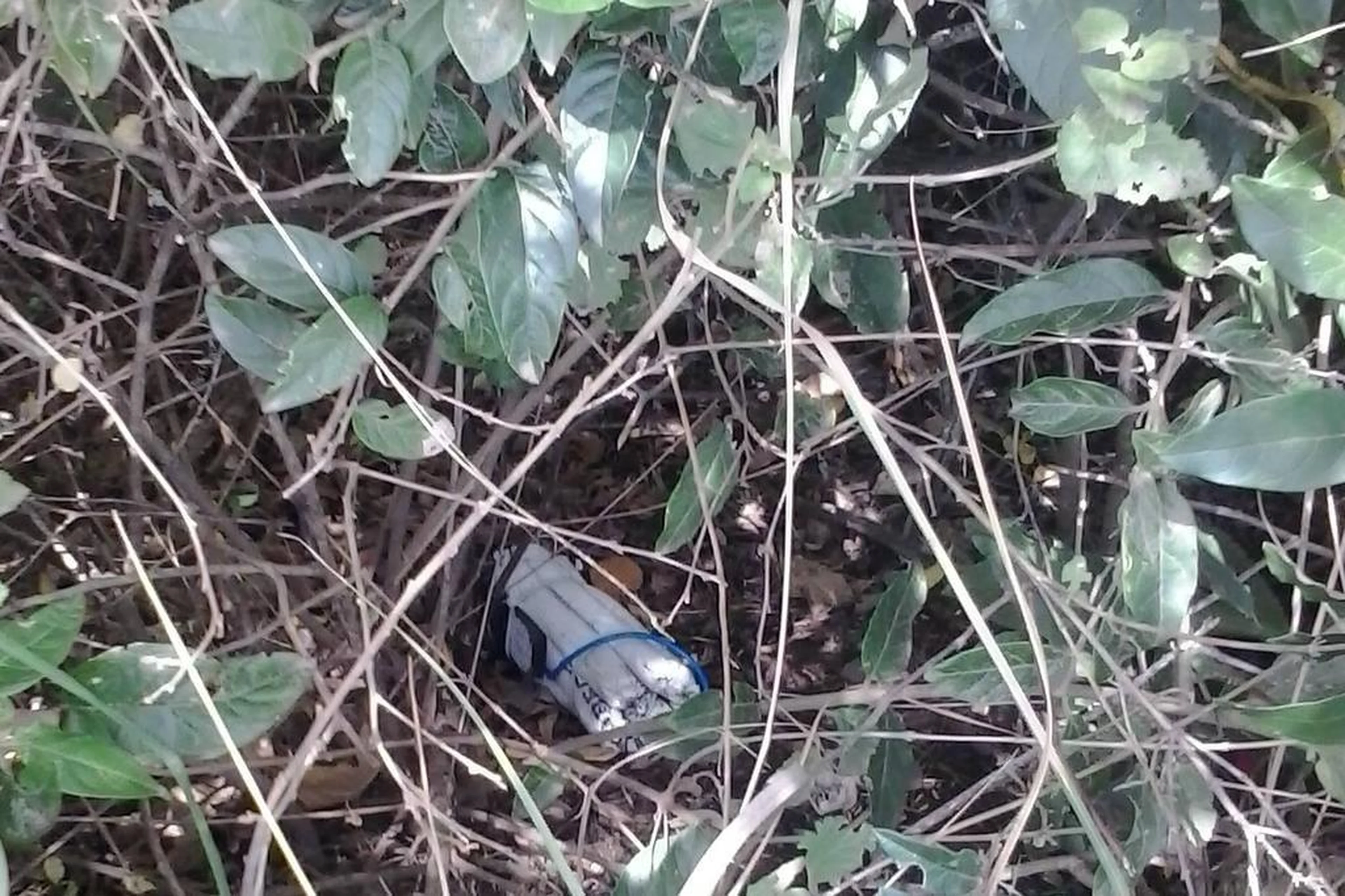 Divulgação/Polícia Civil de Itaqui