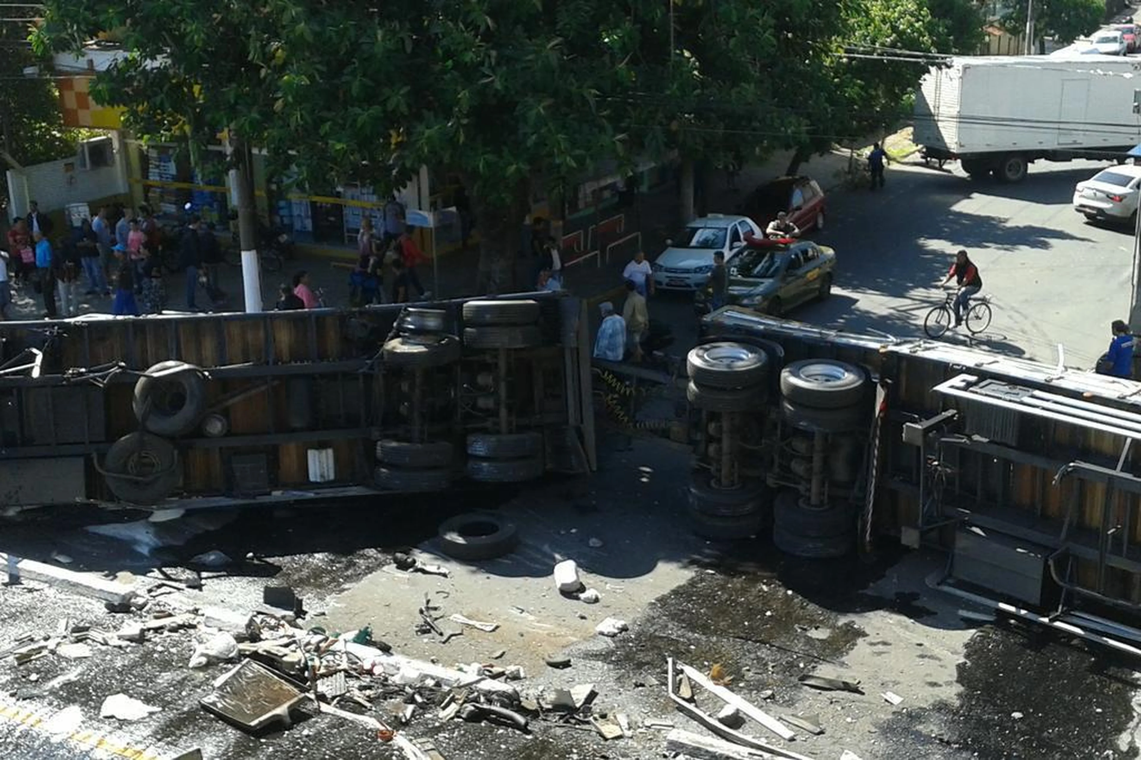 Alina Schmitt Dos Reis/Arquivo Pessoal