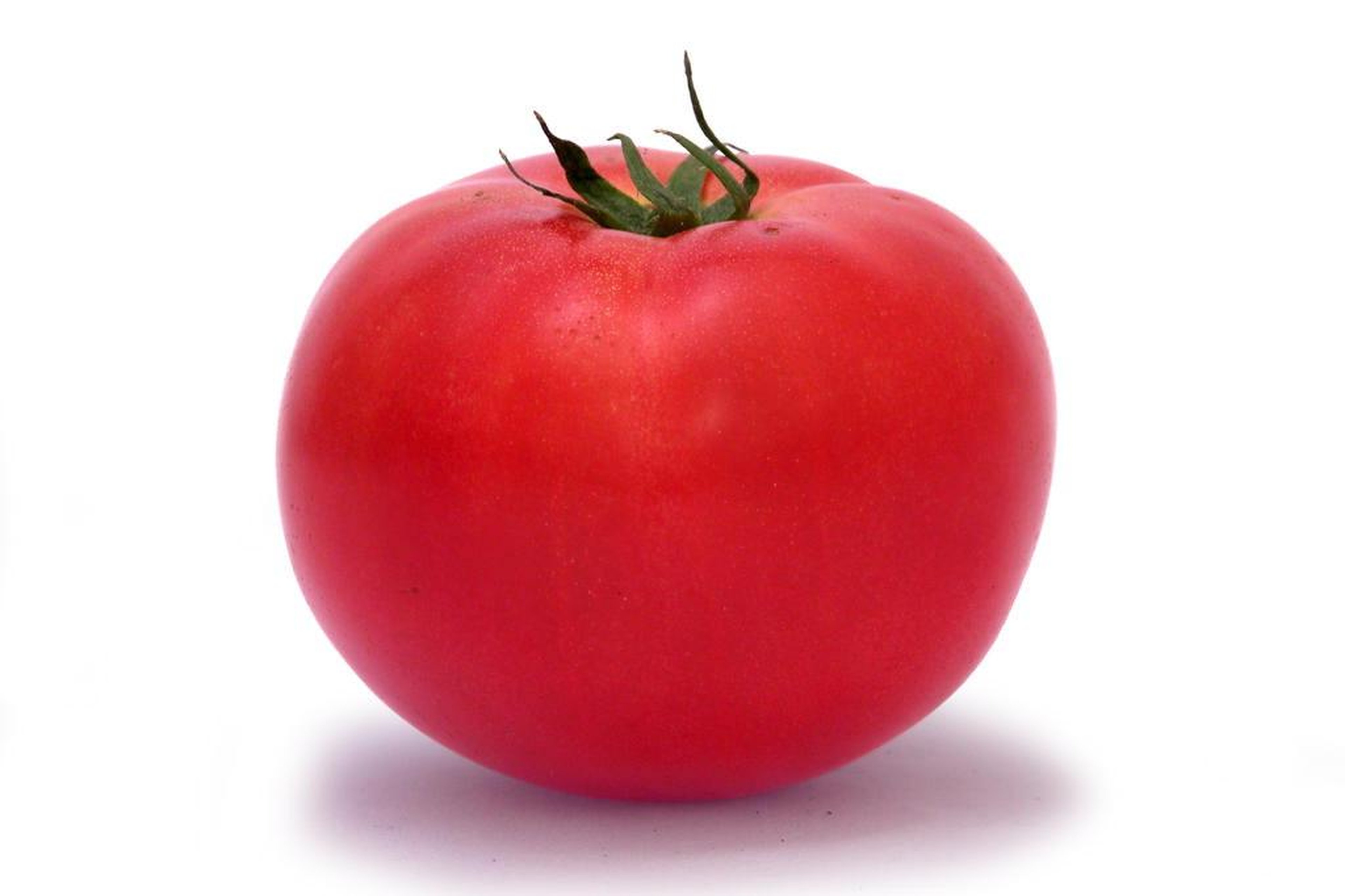 Картинки овощи для детей цветные по отдельности. Овощи по отдельности. Карточка помидор. Карточки овощи помидор. Фрукты и овощи по отдельности