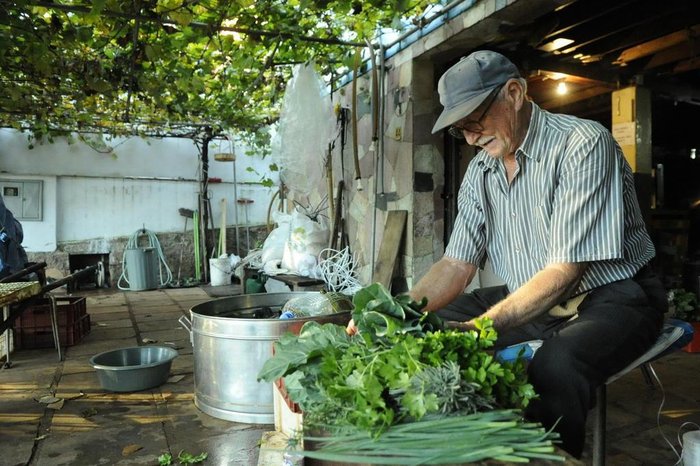 Thiago Tieze / Agencia RBS