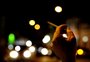 Dia Mundial Sem Tabaco: 900 mil fumantes passivos morrem por ano