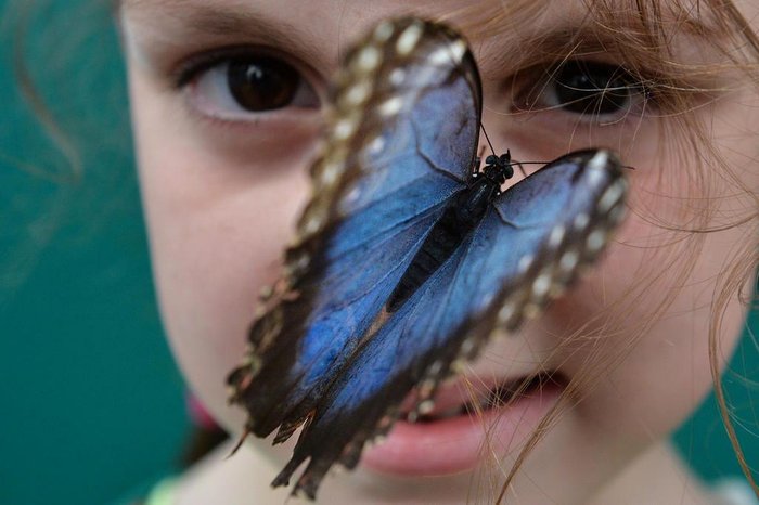 Ben Stansall / AFP