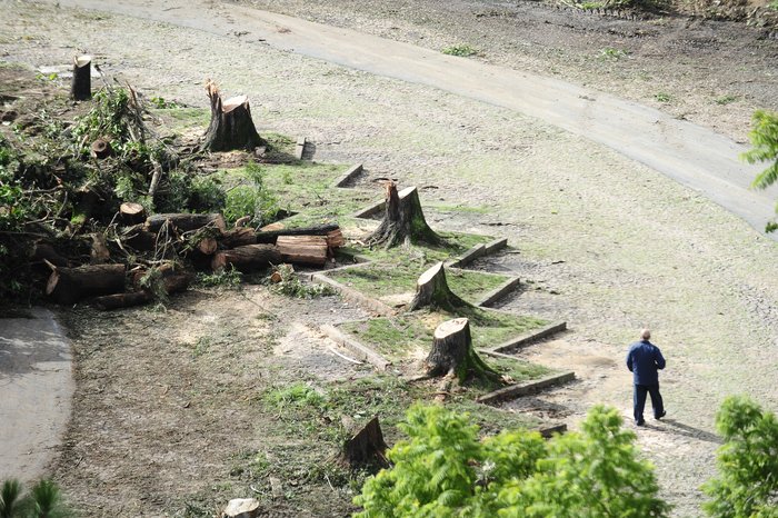 Ronaldo Bernardi / Agência RBS