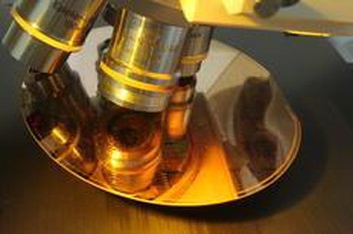 Nabor Goulart,Ceitec,Divulgação / Ceitec,Divulgação