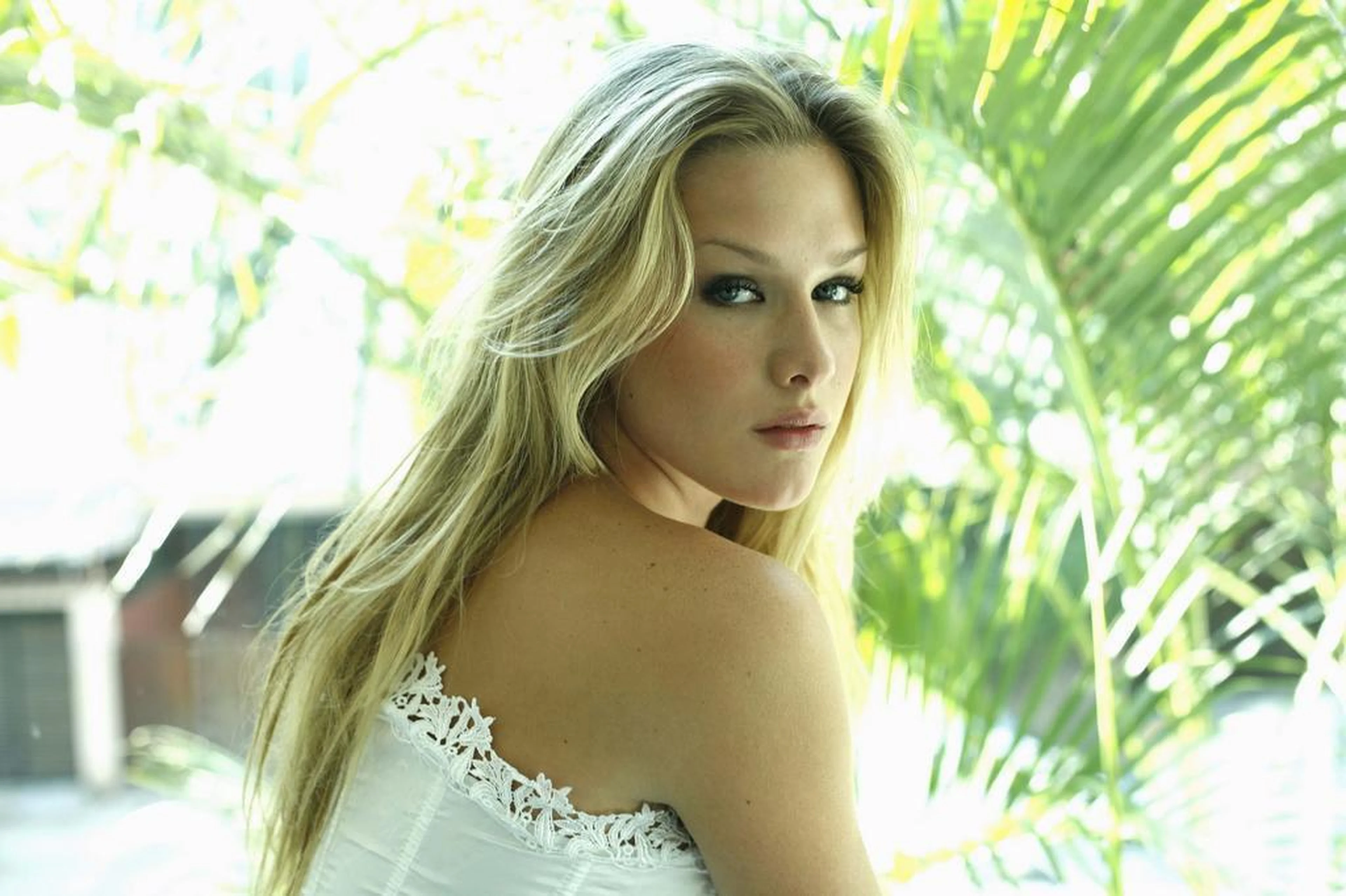 Felipe Lessa/Divulgação