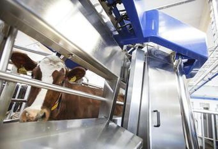 Divulgação / DeLaval