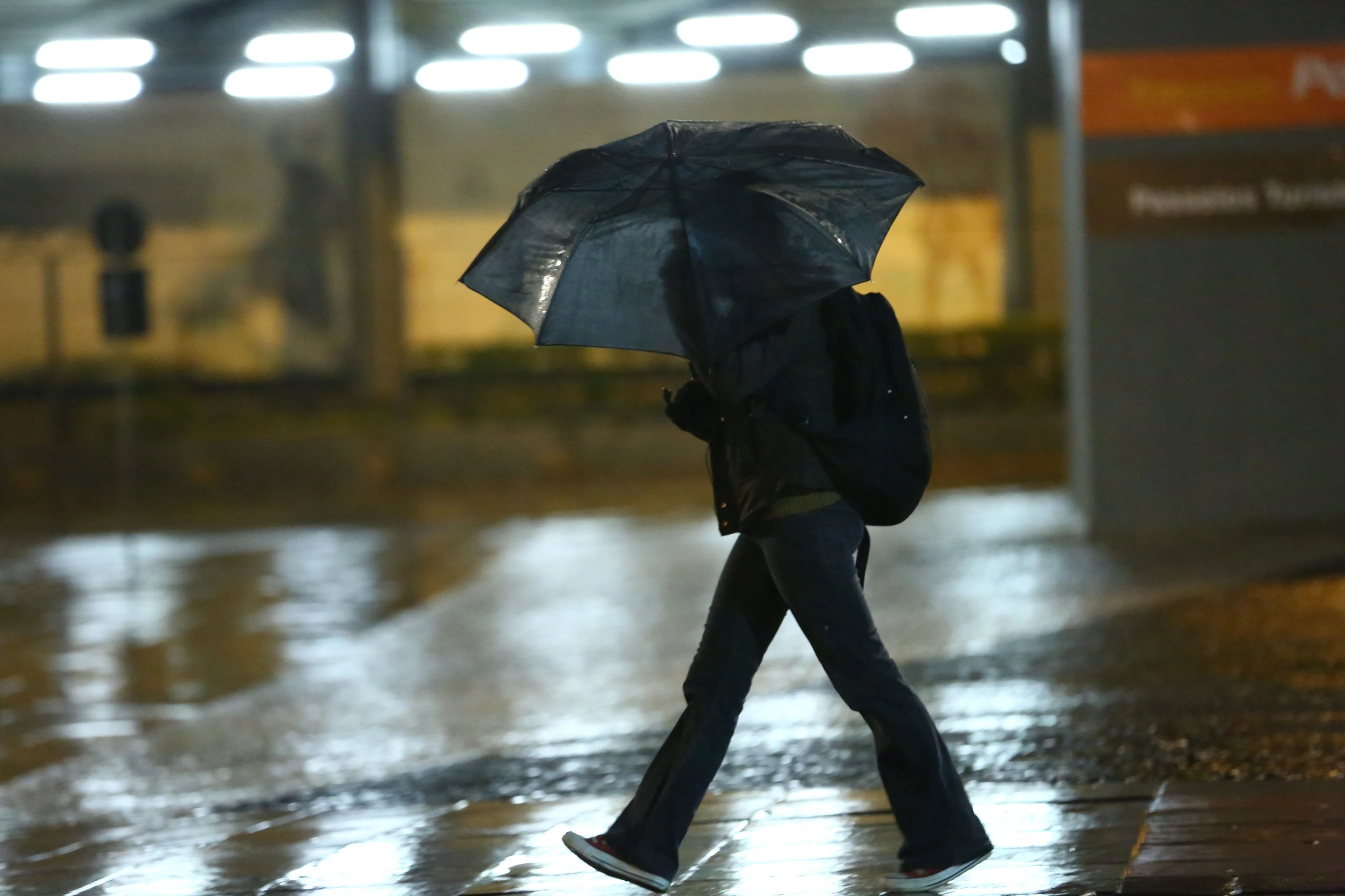 Tadeu Vilani/Agência RBS