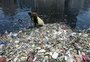 Contaminação de plástico atinge 88% da superfície dos mares