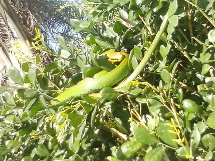 Arquivo pessoal / null