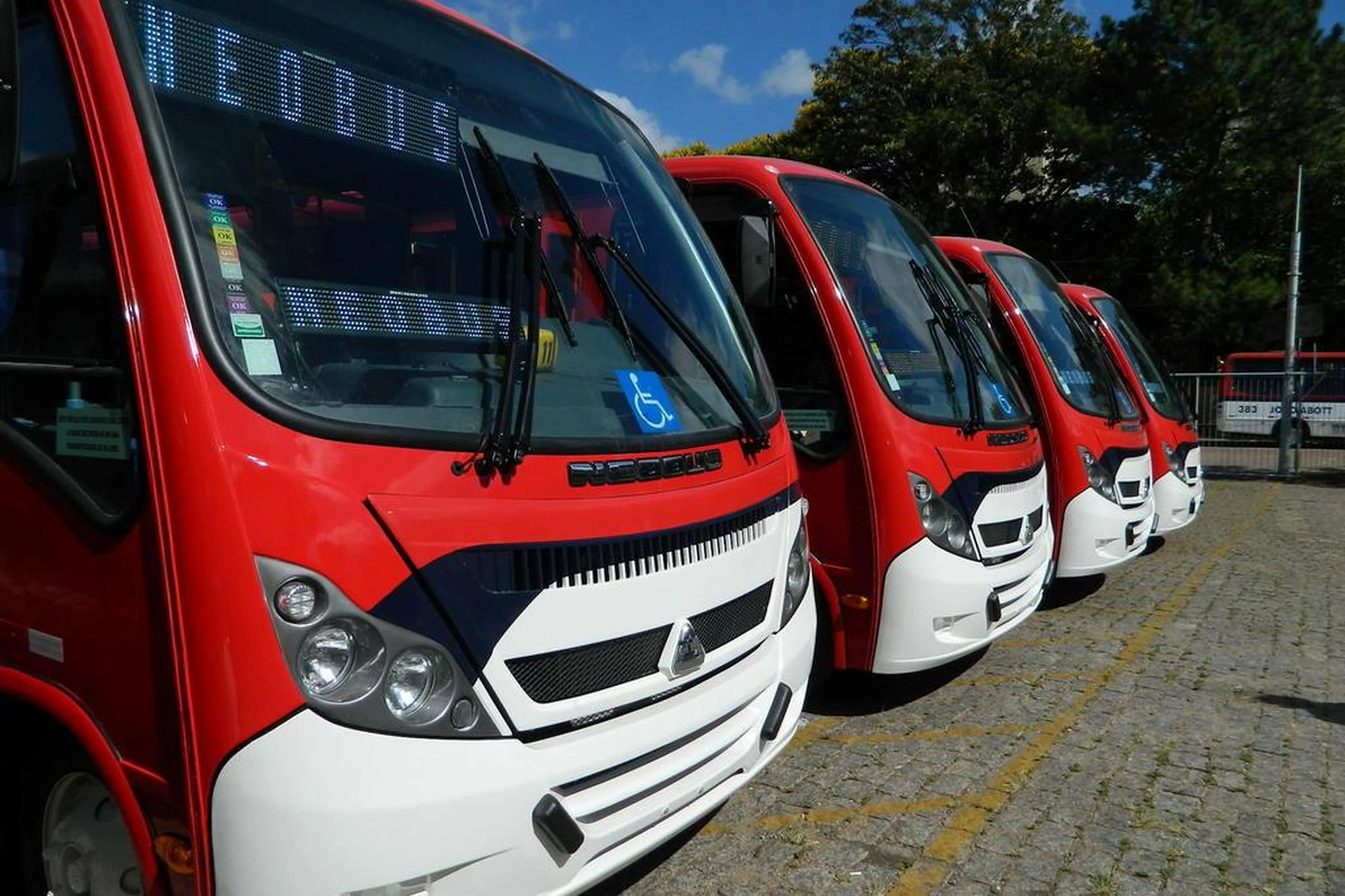 Andrey Cidade/Divulgação PMPA