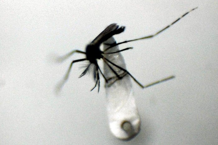 Fabrizio Motta / Agencia RBS