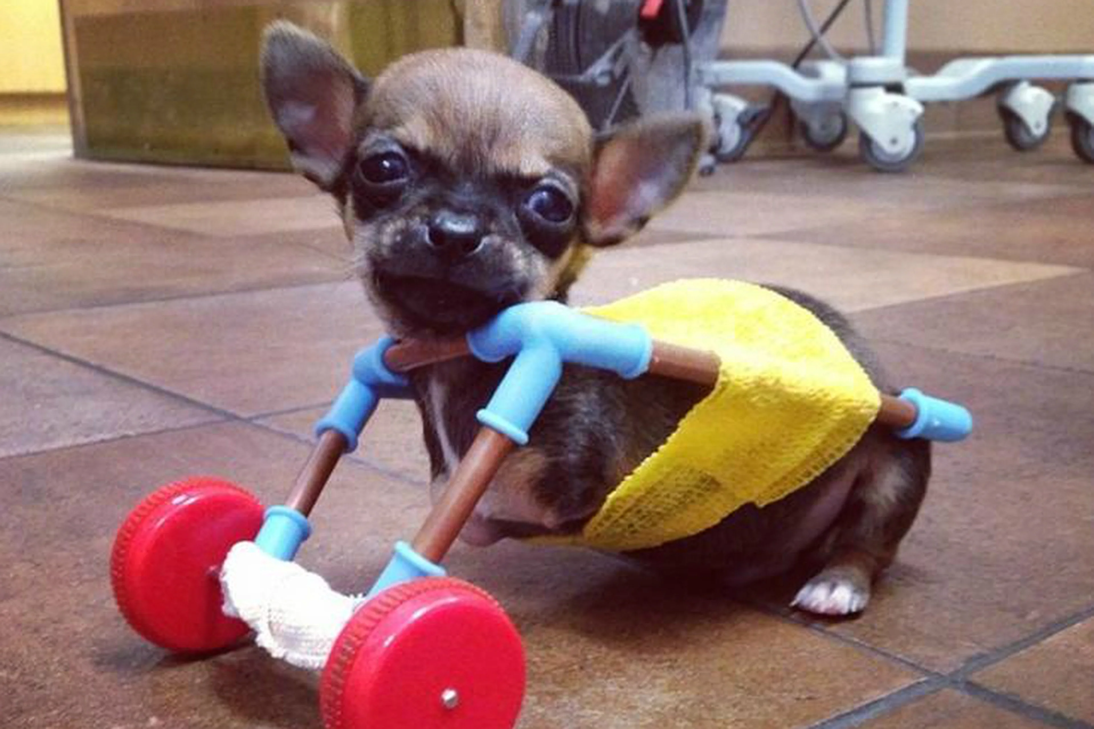 Turbo/Instagram