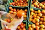  Tomate teve aumento de 47,17% nos últimos 30 dias. Stela Pujol compra tomates no supermercado.