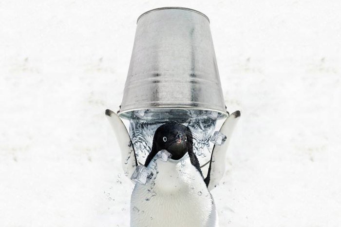 Reprodução / Facebook