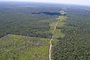A ministra do Meio Ambiente, Izabella Teixeira, anuncia os dados sobre o desmatamento da Amazônia Legal referentes dos meses de abril, maio e junho de 2012. Desmatamento na Amazônia cai 23% em 12 meses