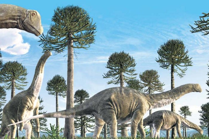 7 Dinossauros Mais Gigantes Que Existiam Na Terra 
