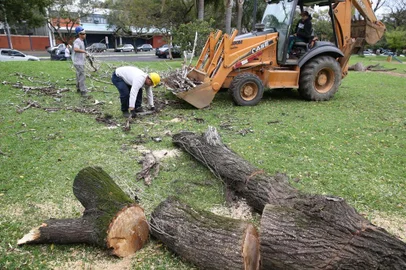  PORTO ALEGRE , RS , BRASIL , 15-09-2014- corte de arvores porto alegre. Empreendimento: Binário Av Borges de Medeiros e Av Praia de Belas (FOTO : FERNANDO GOMES / AGENCIA RBS )