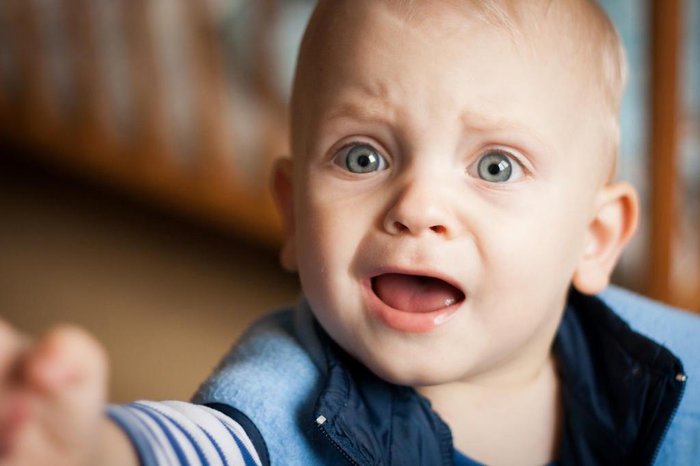 Milan Jurek / freeimages