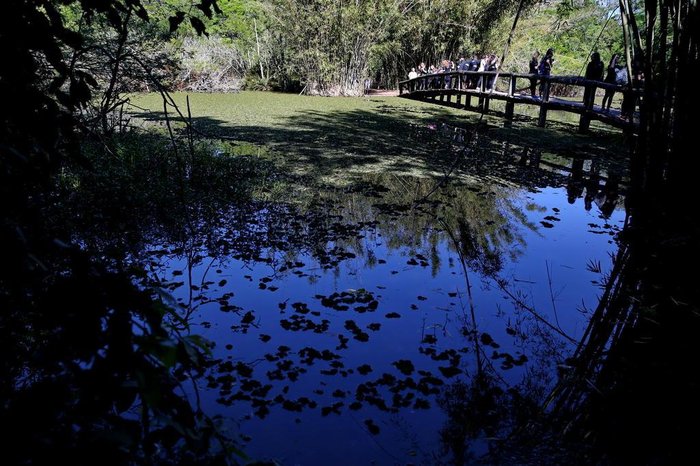 Fernando Gomes / Agencia RBS