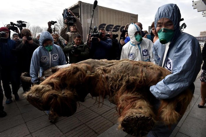 KIRILL KUDRYAVTSEV / AFP