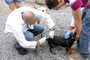 Vigilância Ambiental começa vacinação de animais contra a raiva em Caxias do Sul
Foco da doença foi localizado no bairro Bela Vista