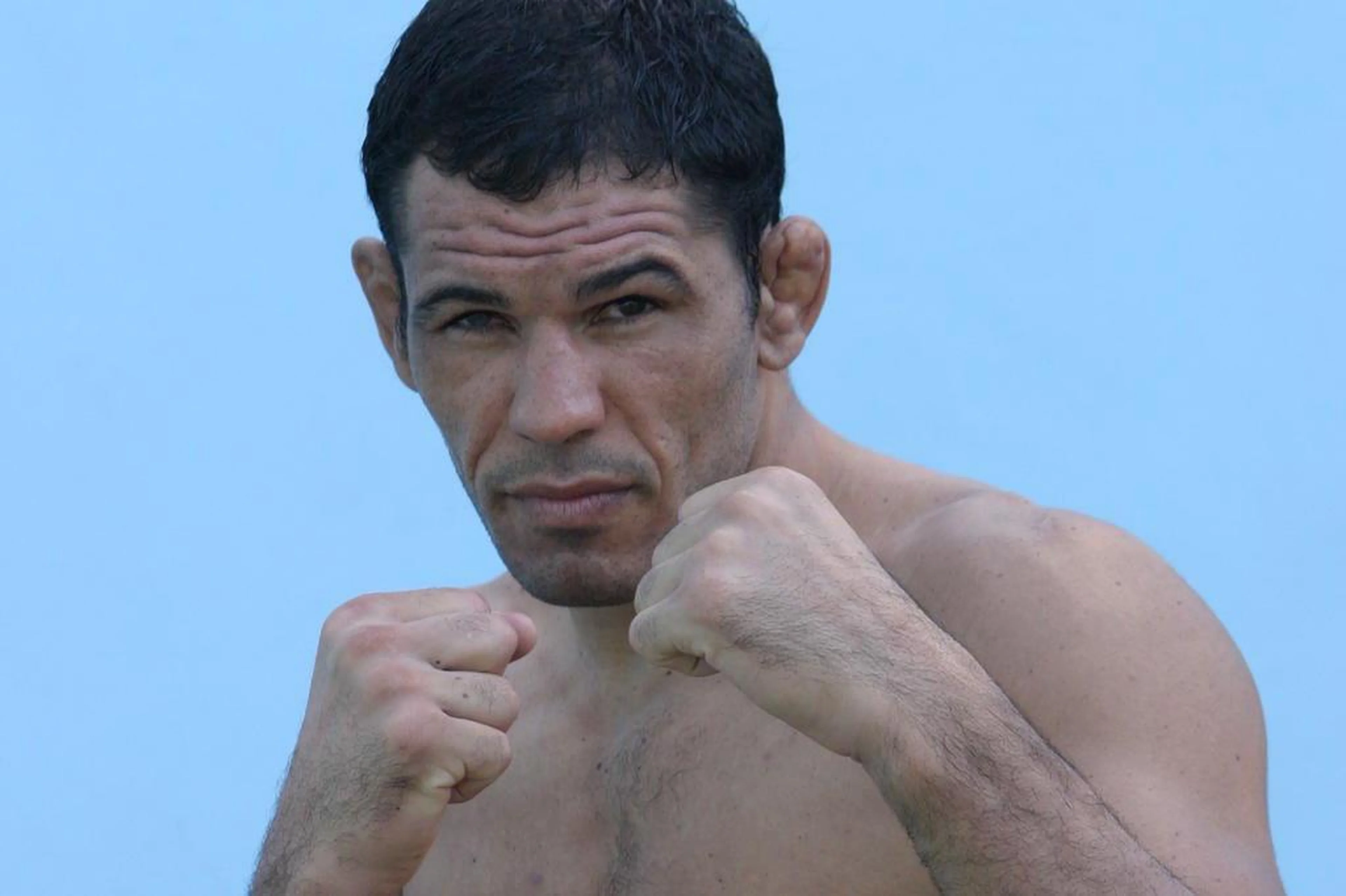 Minotauro/Divulgação