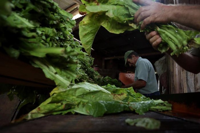 Tadeu Vilani / Agencia RBS