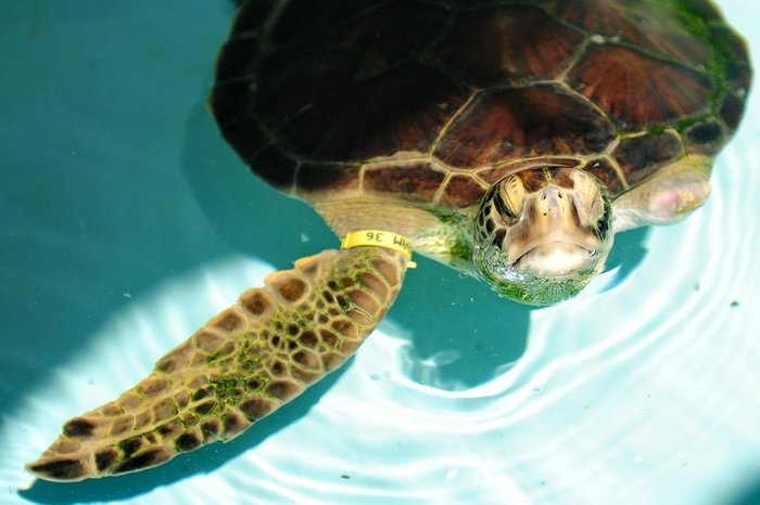 Bruno Alencastro / Agencia RBS