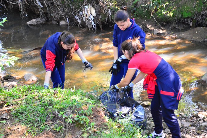 Nelice de Nalle / divulgação