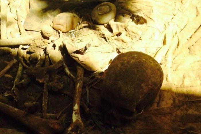 Polícia Civil / Divulgação